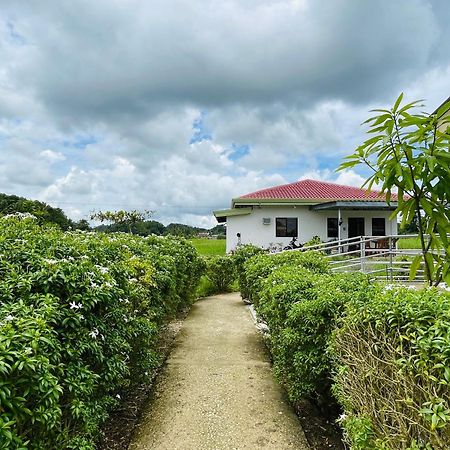 Jazz Ferme Inn Batuan Bohol Dış mekan fotoğraf