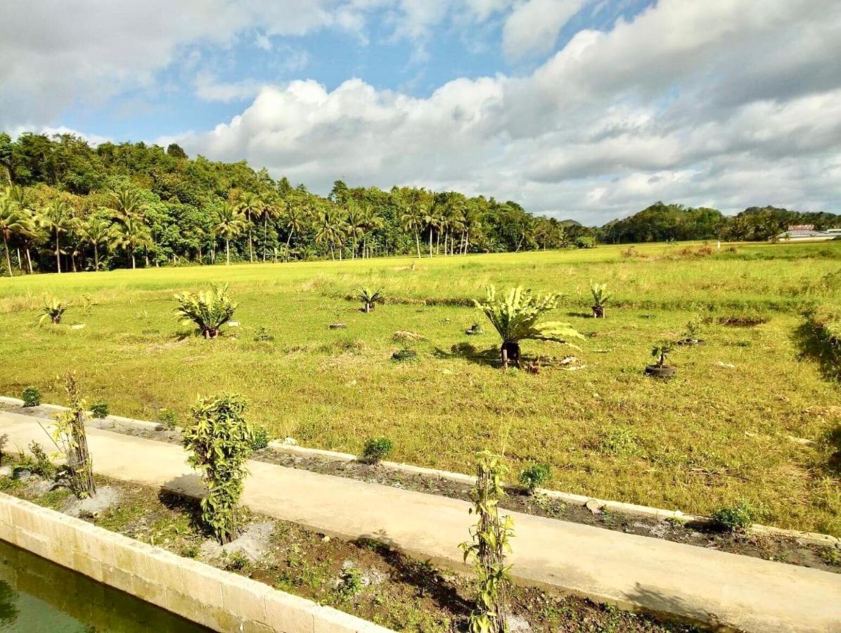 Jazz Ferme Inn Batuan Bohol Dış mekan fotoğraf