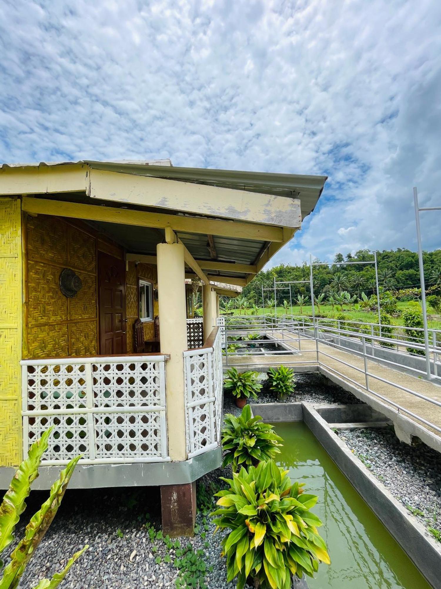 Jazz Ferme Inn Batuan Bohol Dış mekan fotoğraf