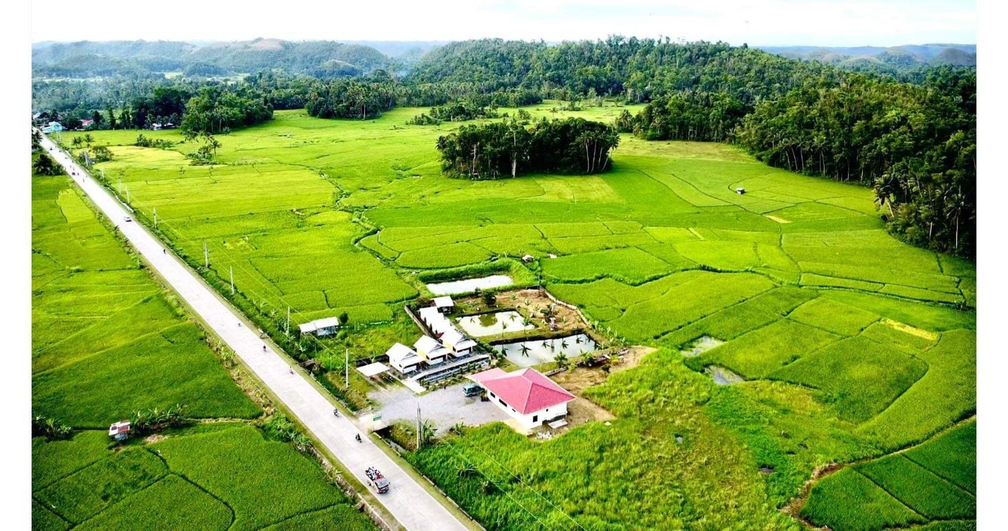 Jazz Ferme Inn Batuan Bohol Dış mekan fotoğraf