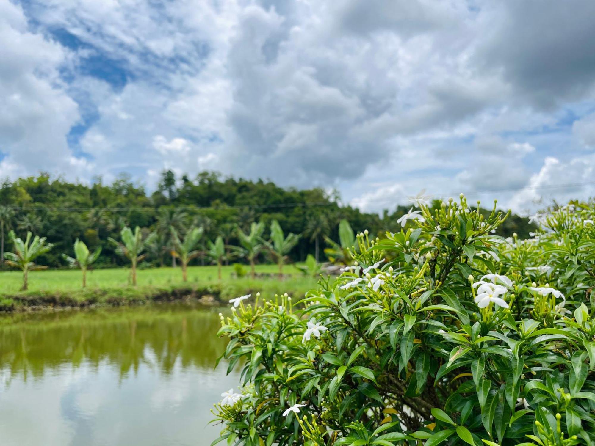 Jazz Ferme Inn Batuan Bohol Dış mekan fotoğraf
