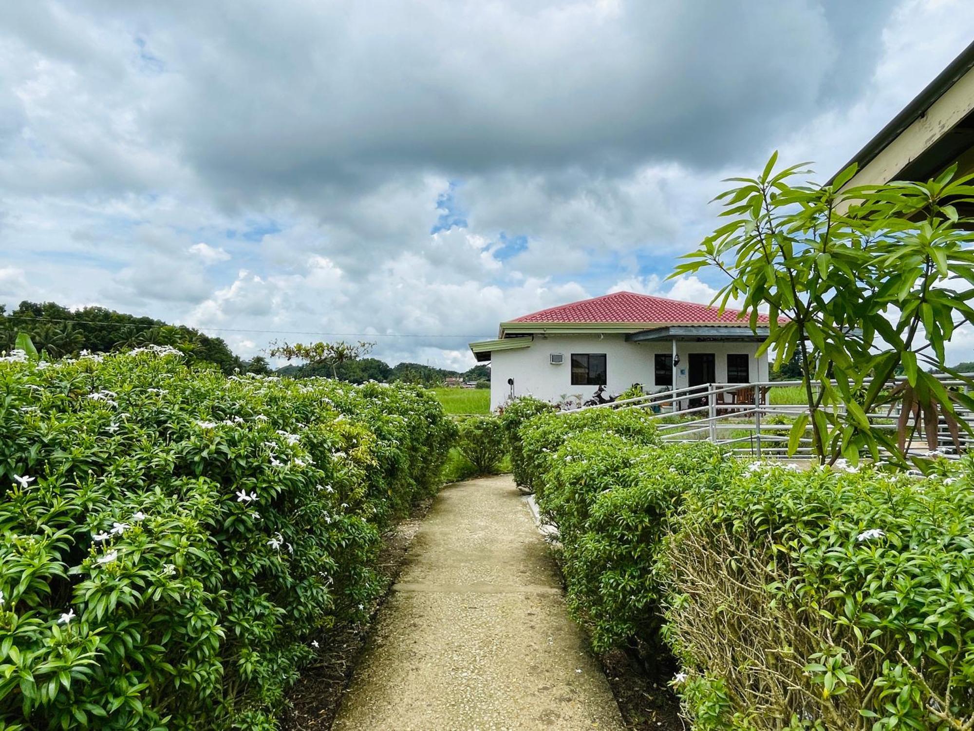 Jazz Ferme Inn Batuan Bohol Dış mekan fotoğraf