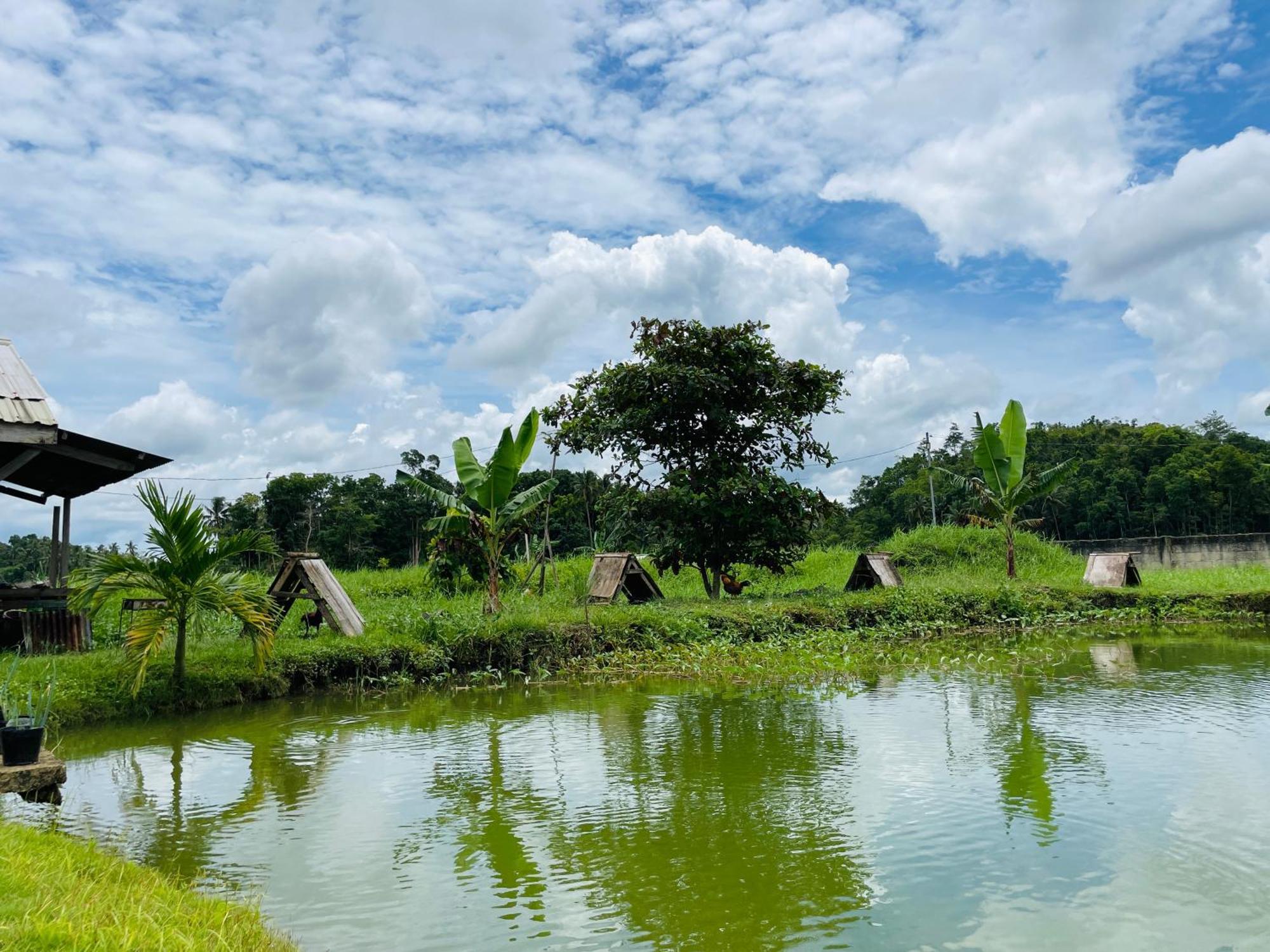 Jazz Ferme Inn Batuan Bohol Dış mekan fotoğraf