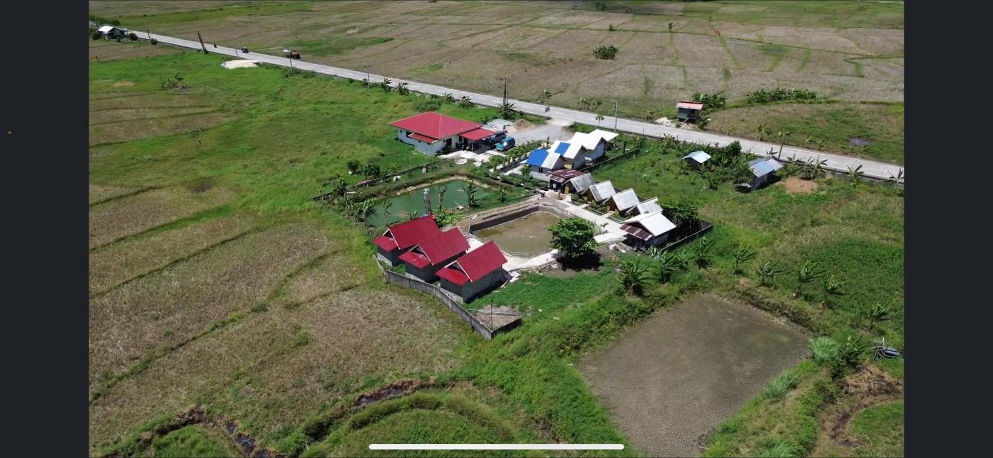 Jazz Ferme Inn Batuan Bohol Dış mekan fotoğraf